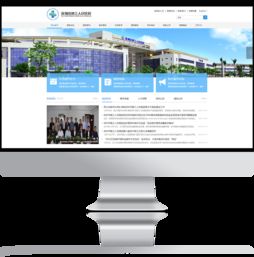 深圳市第三人民醫(yī)院官方網(wǎng)站設(shè)計制作 成功案例 沙漠風(fēng)網(wǎng)站建設(shè)公司