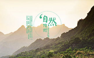 企業(yè)官網(wǎng) 南隼互動丨clh 深圳網(wǎng)站設(shè)計及建設(shè)公司 為企業(yè)提供數(shù)字化品牌和產(chǎn)品營銷解決方案