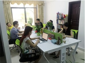 網(wǎng)站建設宣傳畫冊logo設計網(wǎng)頁設計平面設計