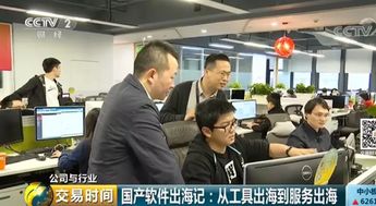 國產(chǎn)軟件國外上架 有公司半年入2個