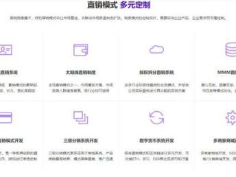 圖 區(qū)塊鏈資金盤幣幣商城開發(fā) 深圳網(wǎng)站建設(shè)推廣