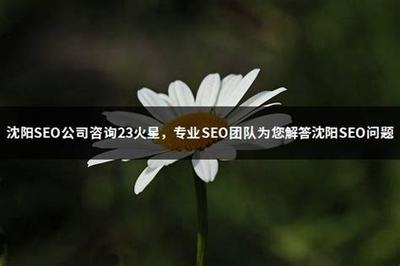 昭通seo公司咨詢7火星詳解:正規seo公司|2024年06月更新